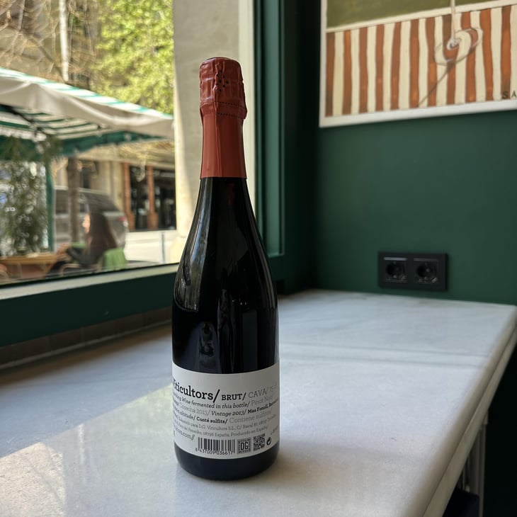 DG Viticultors Pinot Noir Brut - DG Viticultors - Pedro Luís Domènech Garay & Antonio García Blasco -2013