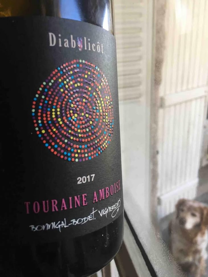 Diabolicôt - Domaine Bonnigal-Bodet - Jean-Baptiste Bonnigal & Stéphane Bodet 