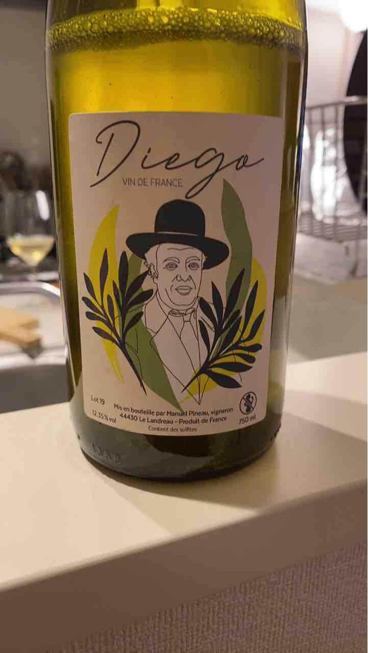 Diego - Manuel Pineau - Manuel Pineau (CLOSED in 2021) -2019