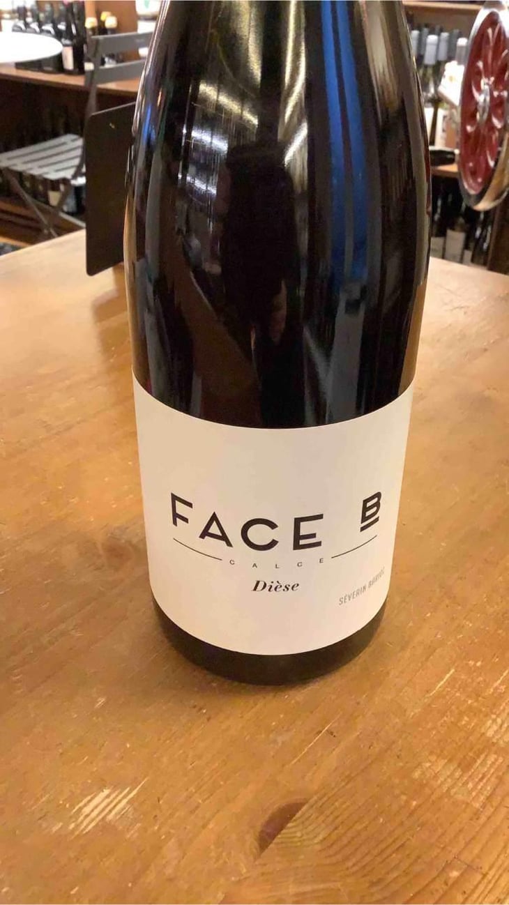 Dièse - Face B - Séverin Barioz & Mathilde Barioz - Ceccon 