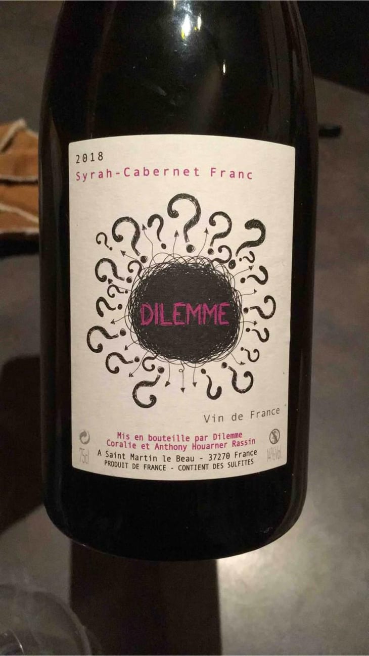 Dilemme - Coralie et Anthony Houarner Rassin - Coralie et Anthony Houarner Rassin 