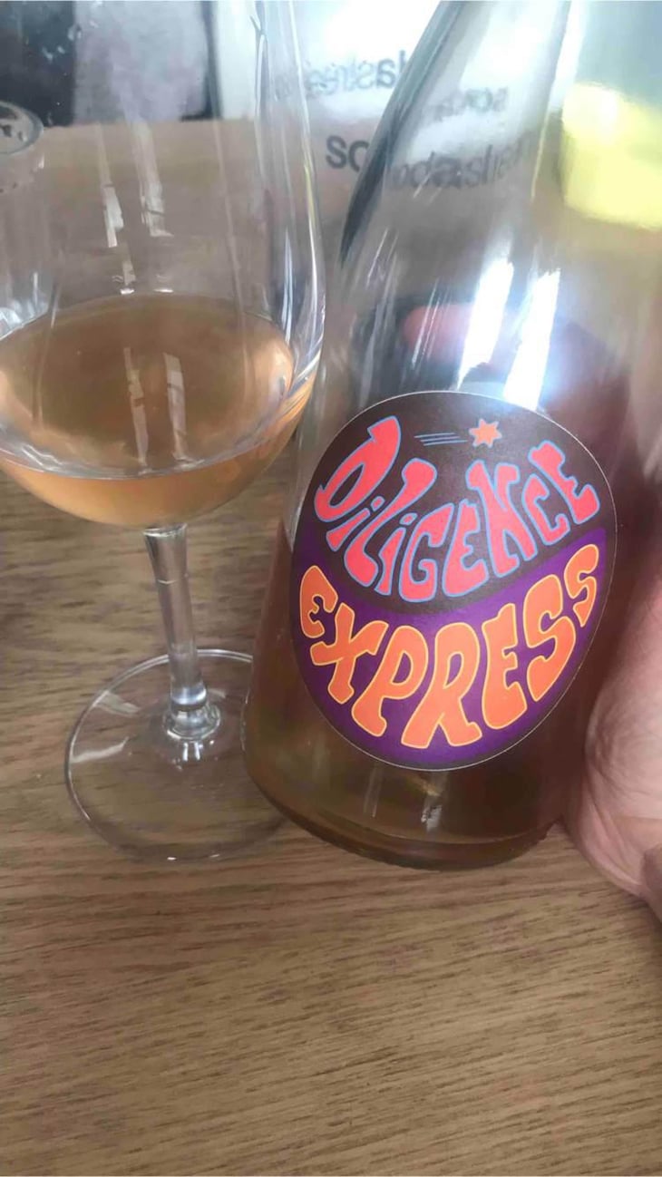 Diligence Express Orange - Raisin Sauvage - Emilien Revers 