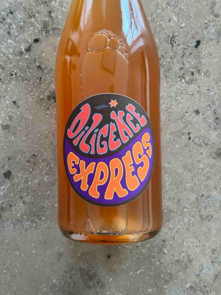 Diligence Express Orange - Raisin Sauvage - Emilien Revers 
