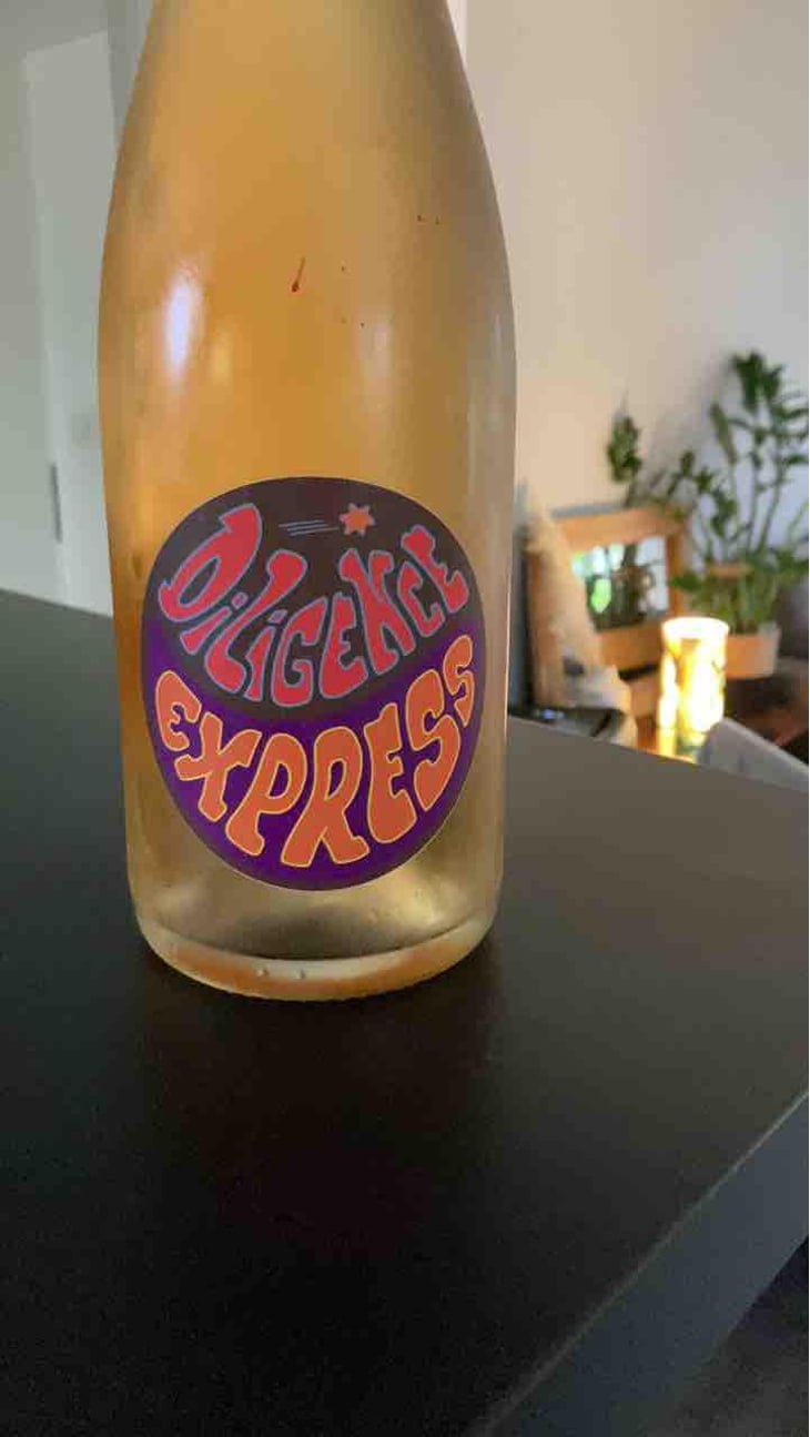 Diligence Express Orange - Raisin Sauvage - Emilien Revers 