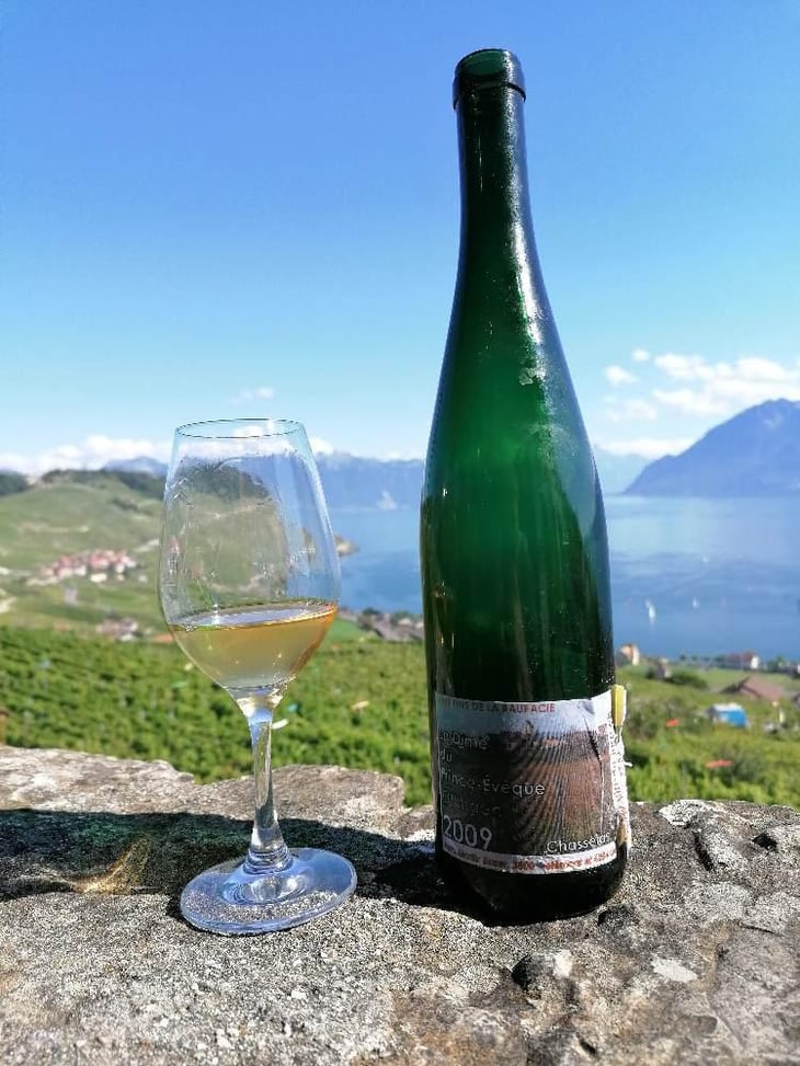 La Dîme du Prince-Evêque - Vin du Jura - Martin Buser 
