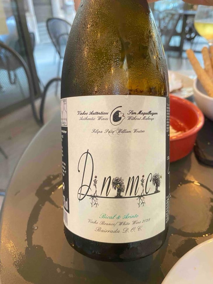 Dinamica Branco - Filipa Pato - Filipa Pato & William Wouters 
