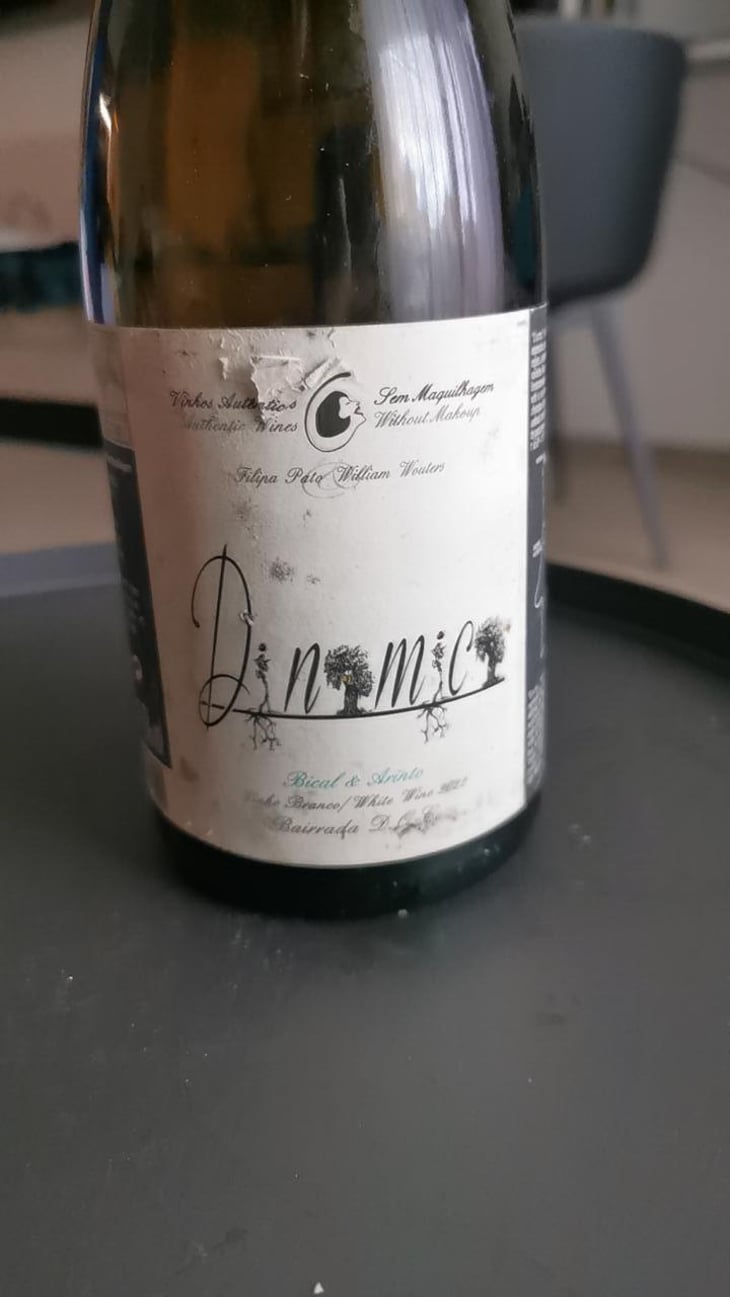 Dinamica Branco - Filipa Pato - Filipa Pato & William Wouters 