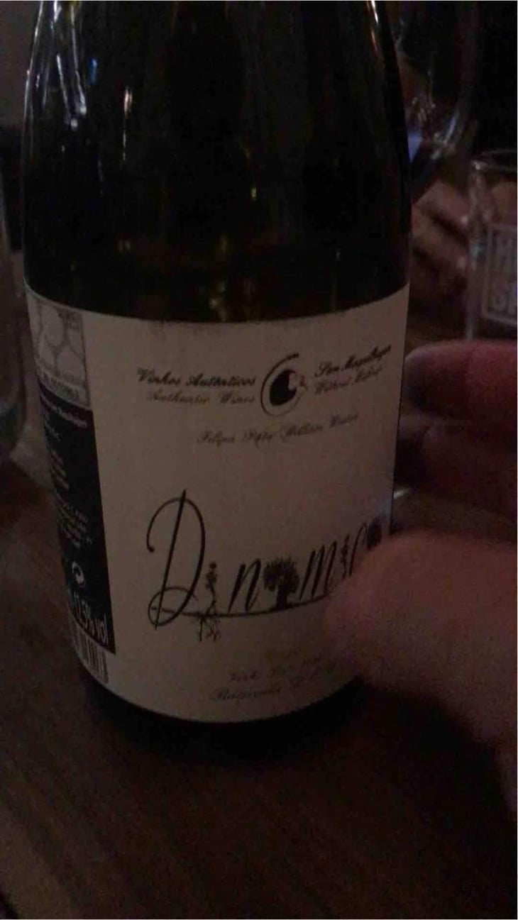 Dinamica Tinto - Filipa Pato - Filipa Pato & William Wouters 