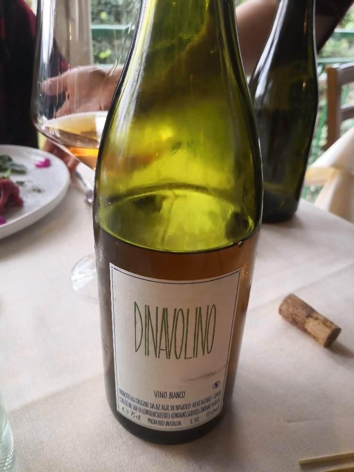 Dinavolino - Azienda Agricola Denavolo - Giulio Armani 