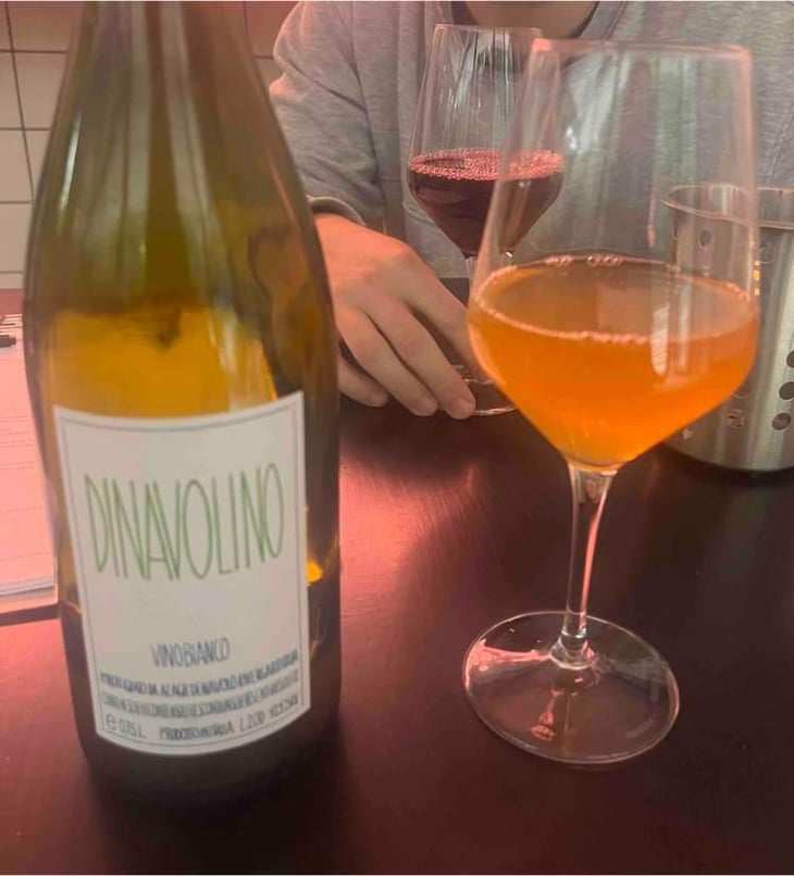 Dinavolino - Azienda Agricola Denavolo - Giulio Armani 