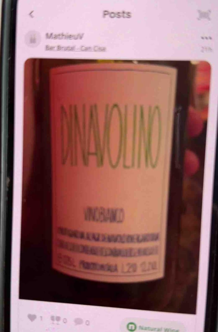 Dinavolino - Azienda Agricola Denavolo - Giulio Armani 
