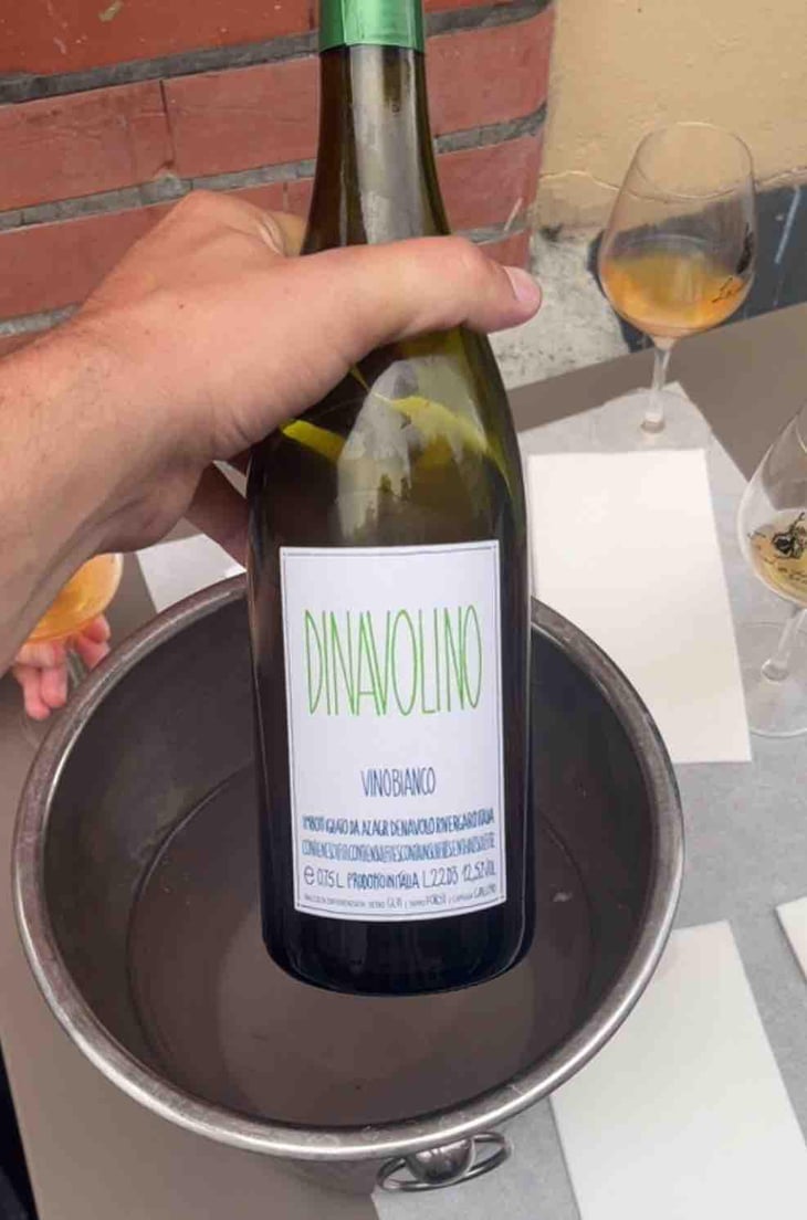 Dinavolino - Azienda Agricola Denavolo - Giulio Armani 