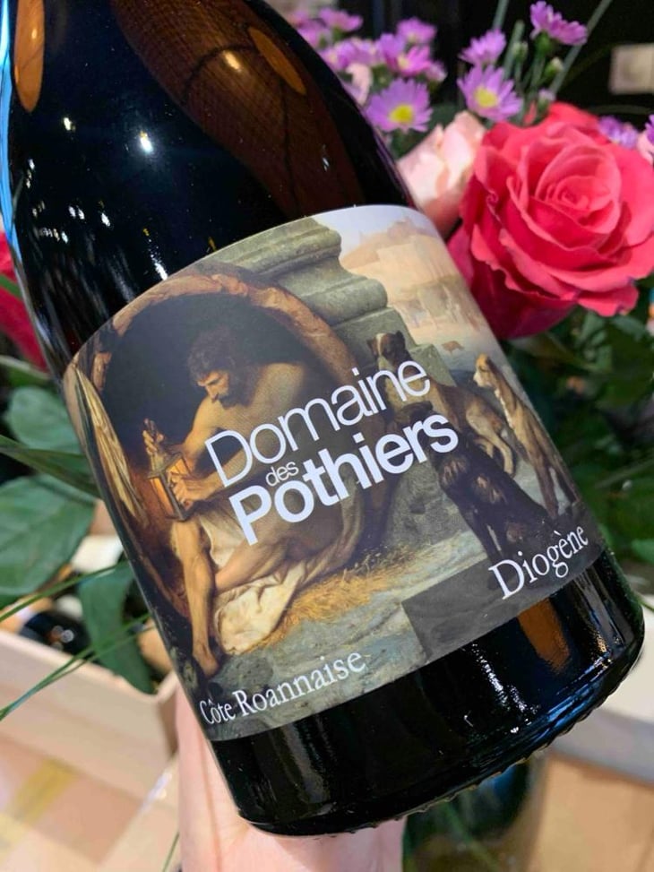 Diogene - Domaine des Pothiers - Denise, Georges & Romain Paire -2020
