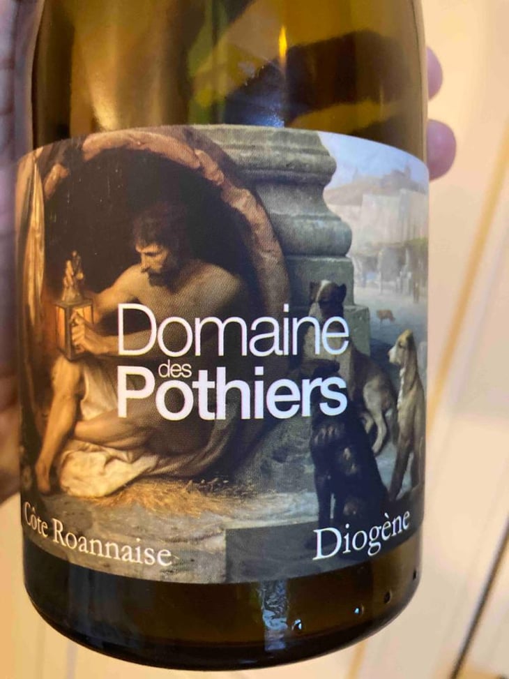 Diogene - Domaine des Pothiers - Denise, Georges & Romain Paire -2020