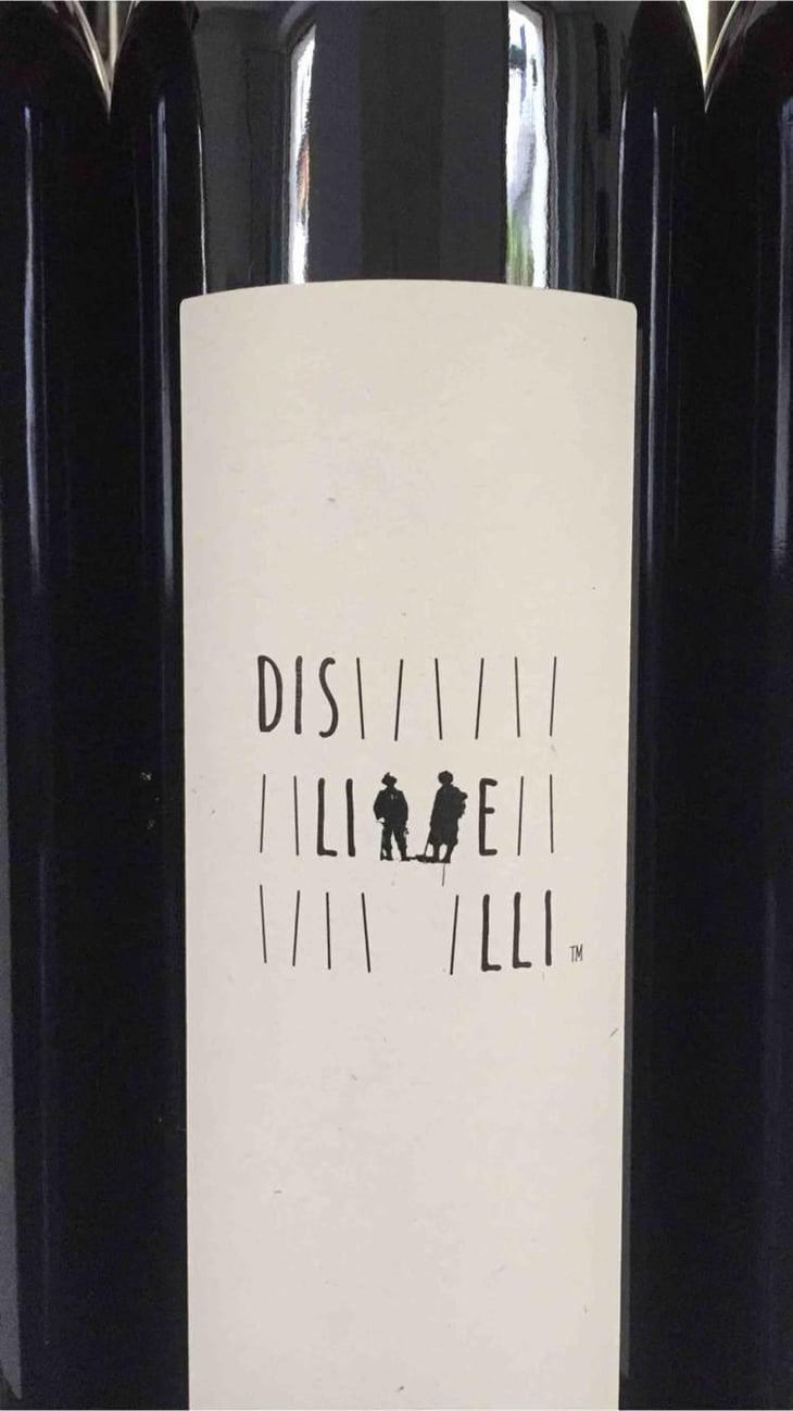 Dislivelli - Dislivelli di Valtellina - Gian Piero Ioli 