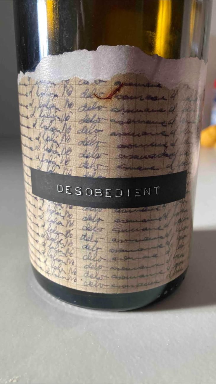 Desobedient - Mas de la Caçadora - Joan Pujades Giné -2019