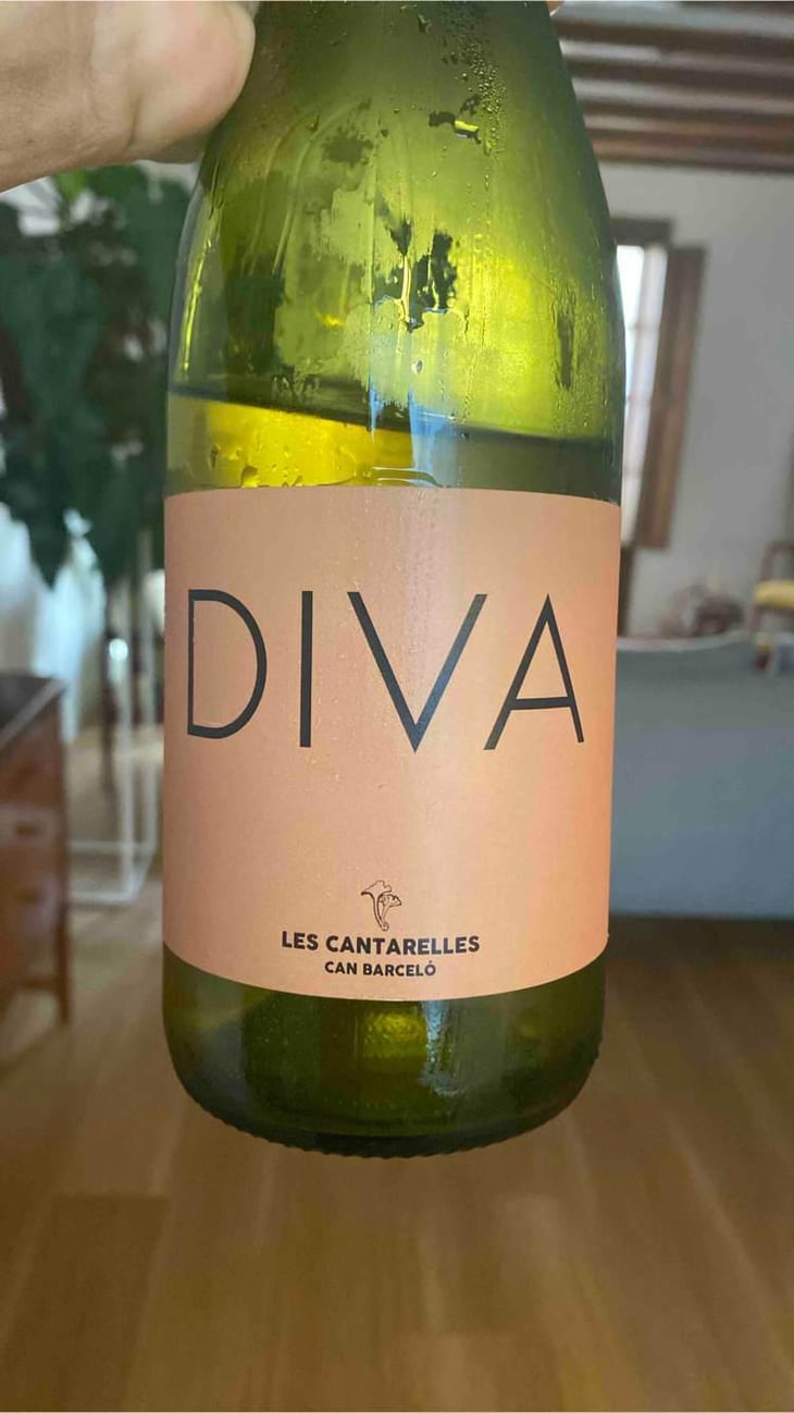 Diva - Les Cantarelles - Nuria Renom Suárez 
