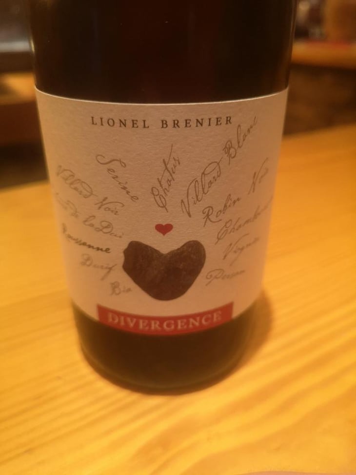 Divergence - Lionel brenier - Lionel Brenier 