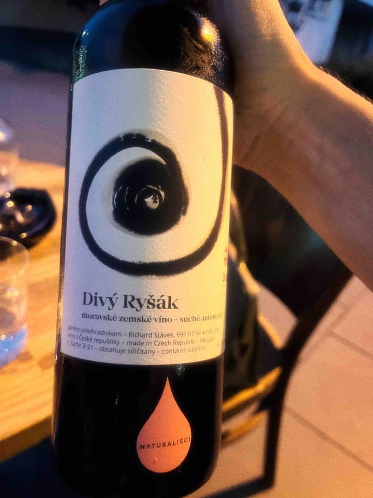 Divy Rysák - Richard Stavek - Richard Stavek 