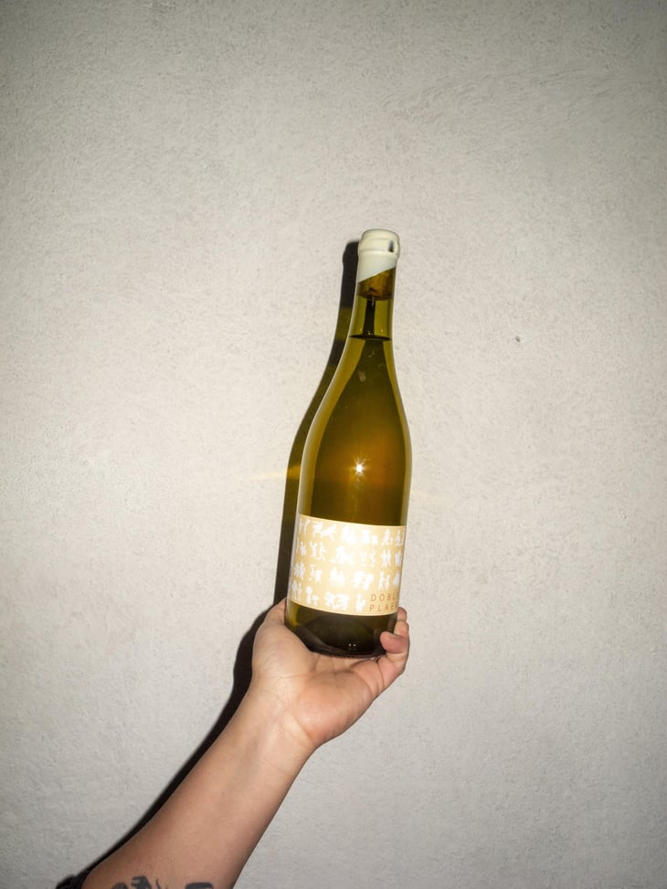 Doble Plaer - Vinyes Singulars - Ignasi Segui 