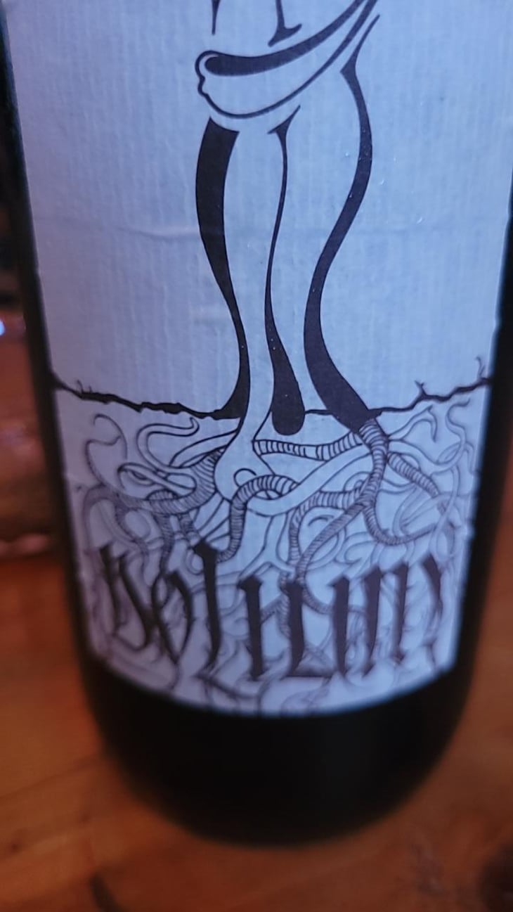 Dolium - Vinarstvo Zorjan - Marija & Božidar Zorjan 