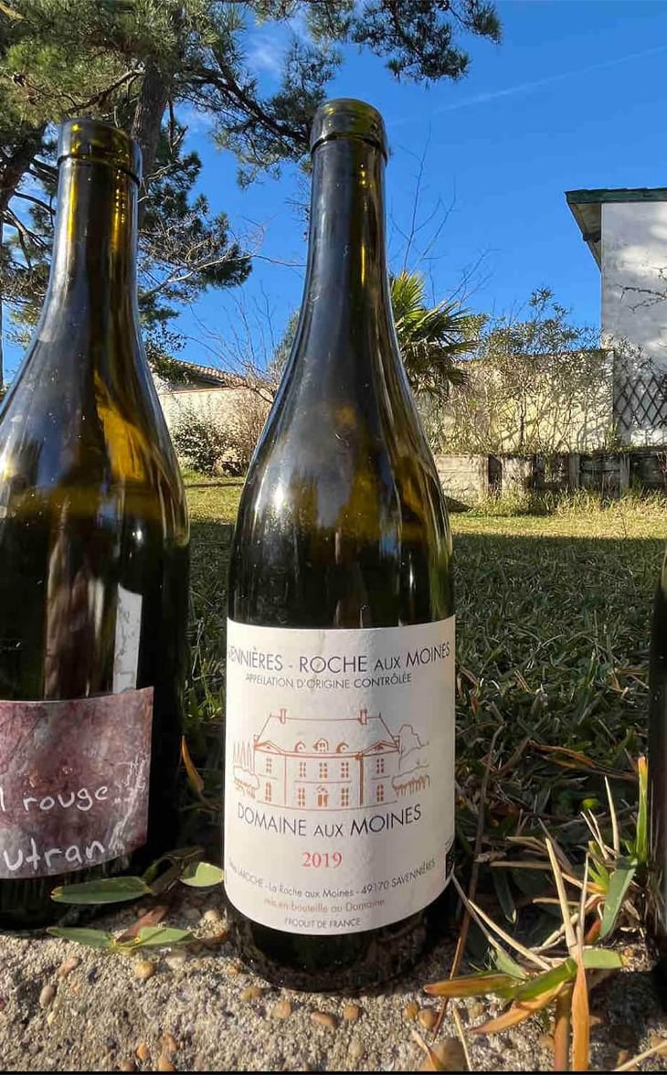 Domaine Aux Moines - Domaine aux Moines - Monique & Tessa Laroche 