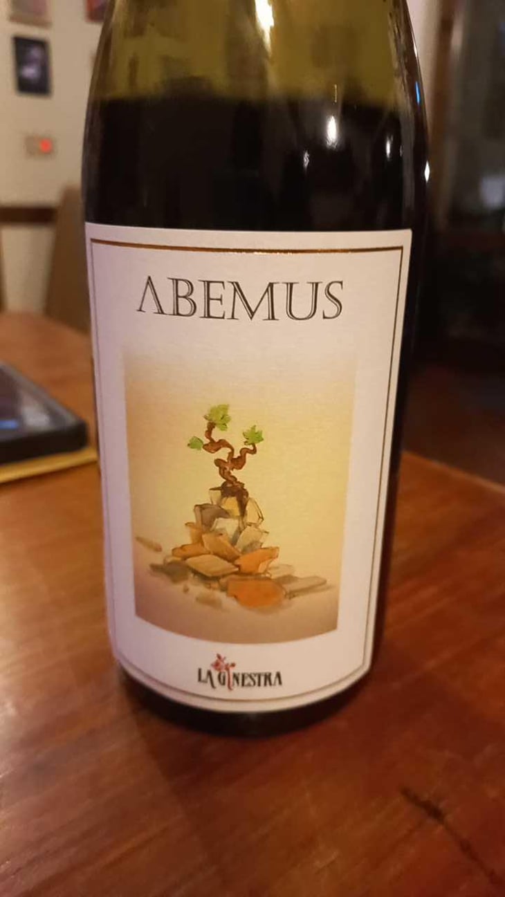 Domaine di Coccirotti Habemus - La Ginestra - Dario Nocci, Alessandro Bicchi & Matteo Rinaldi 