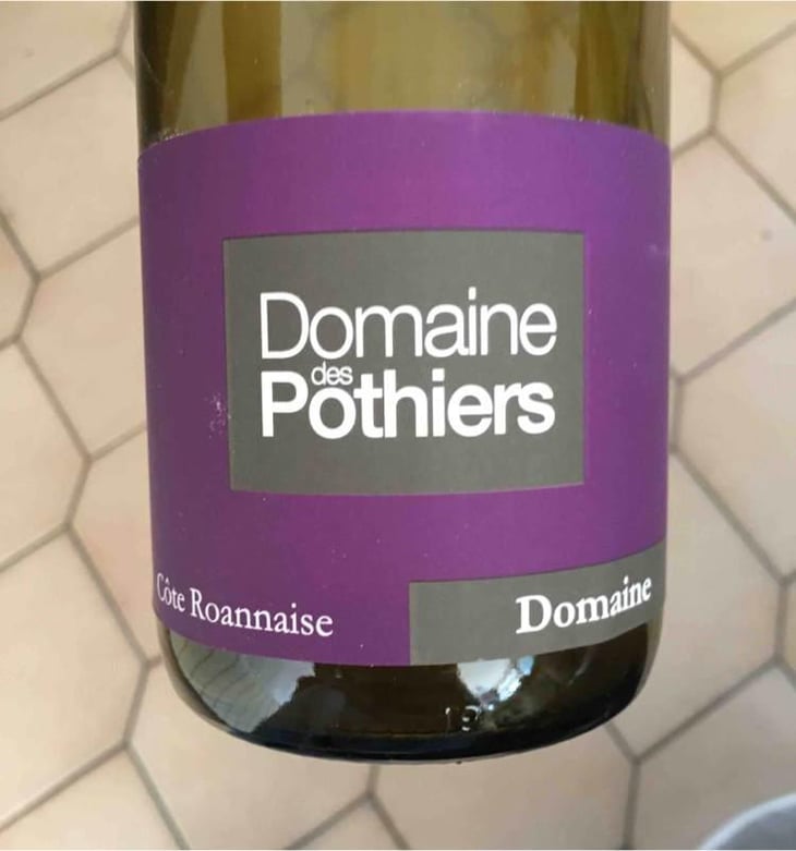 Domaine - Domaine des Pothiers - Denise, Georges & Romain Paire 