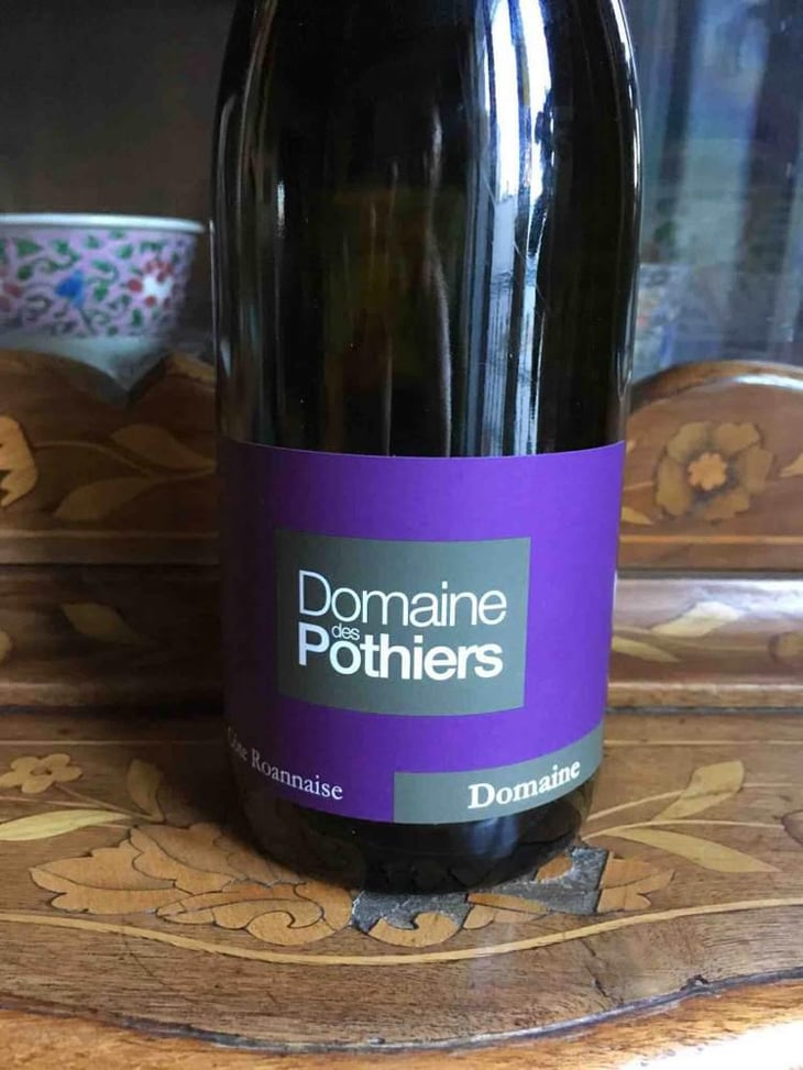 Domaine - Domaine des Pothiers - Denise, Georges & Romain Paire 