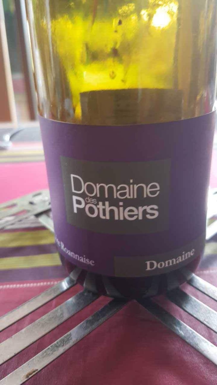 Domaine - Domaine des Pothiers - Denise, Georges & Romain Paire 