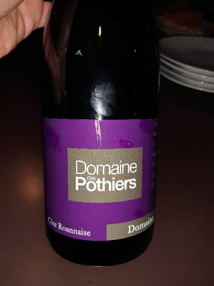 Domaine - Domaine des Pothiers - Denise, Georges & Romain Paire 