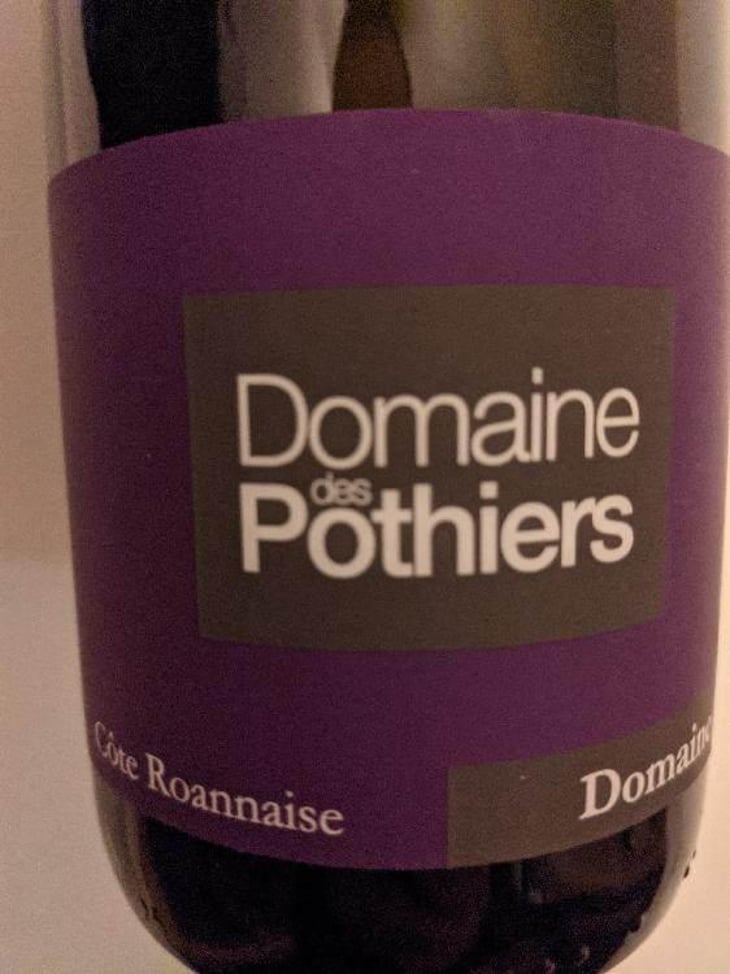 Domaine - Domaine des Pothiers - Denise, Georges & Romain Paire 