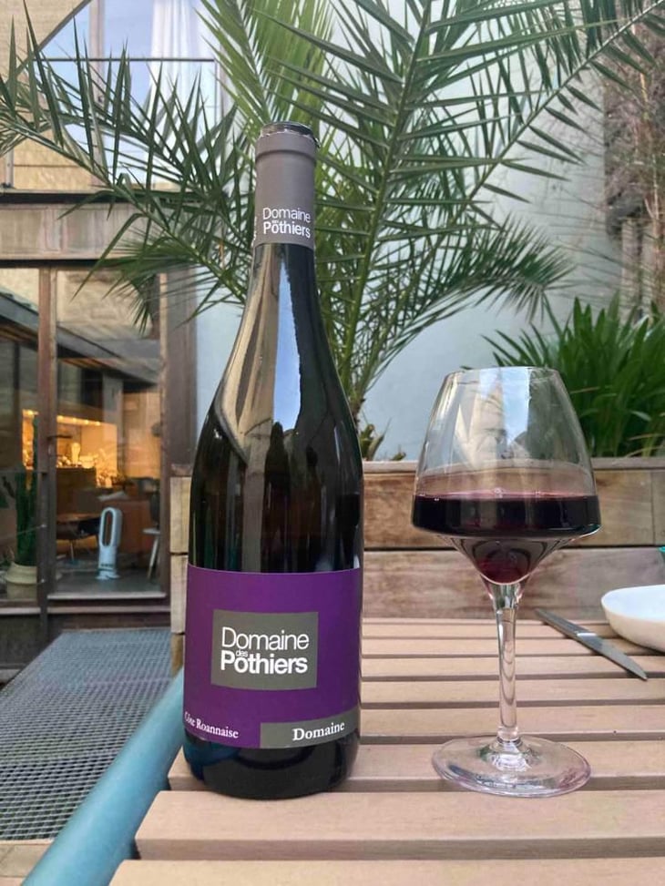 Domaine - Domaine des Pothiers - Denise, Georges & Romain Paire 