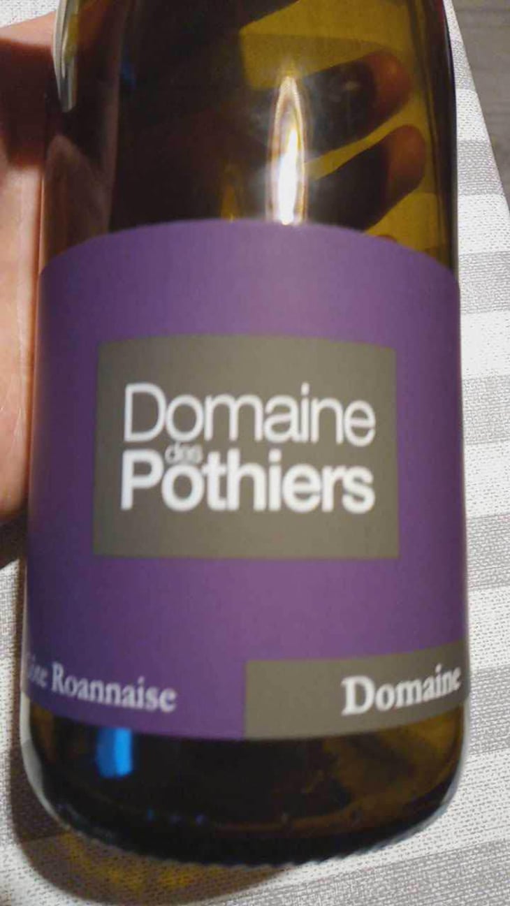 Domaine - Domaine des Pothiers - Denise, Georges & Romain Paire 