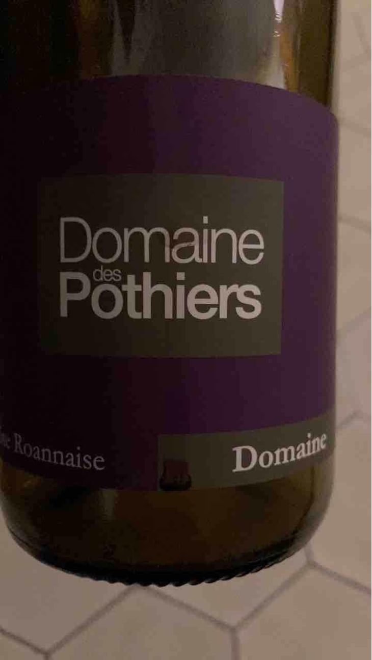 Domaine - Domaine des Pothiers - Denise, Georges & Romain Paire 