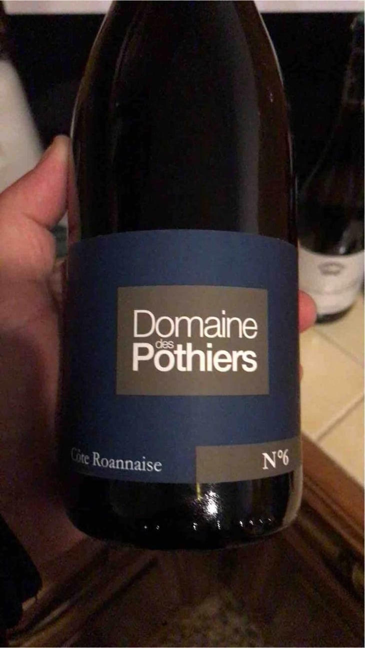 Domaine - Domaine des Pothiers - Denise, Georges & Romain Paire 