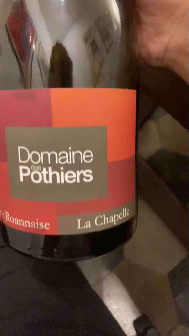 Domaine - Domaine des Pothiers - Denise, Georges & Romain Paire 