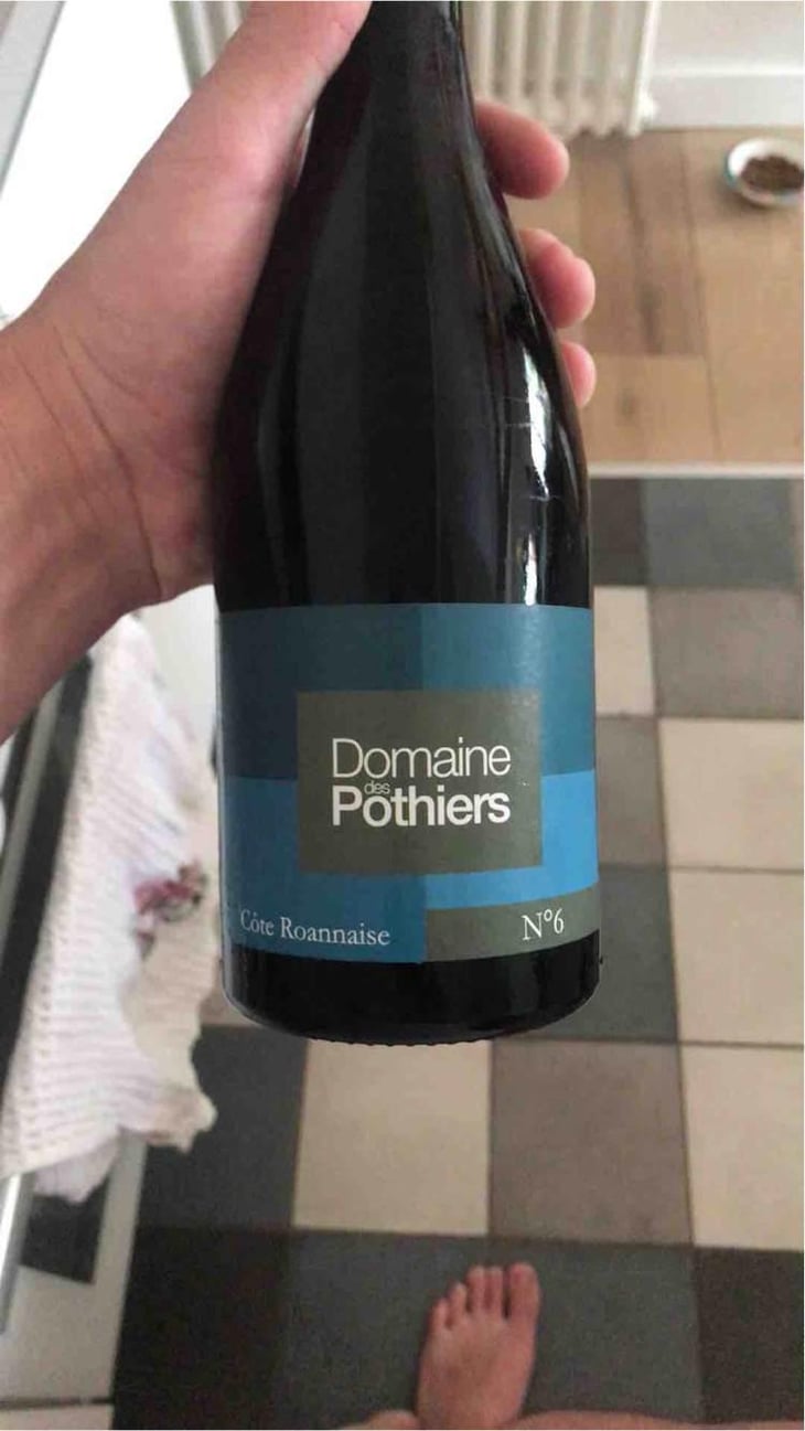 Domaine - Domaine des Pothiers - Denise, Georges & Romain Paire 