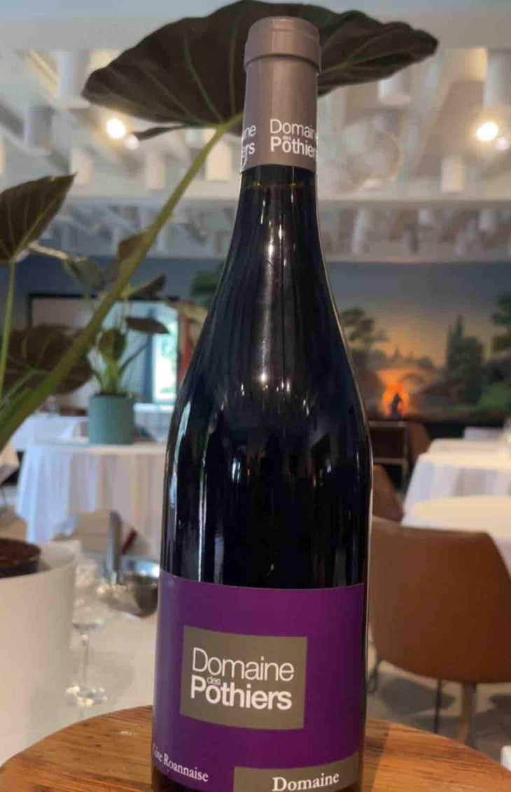 Domaine - Domaine des Pothiers - Denise, Georges & Romain Paire 