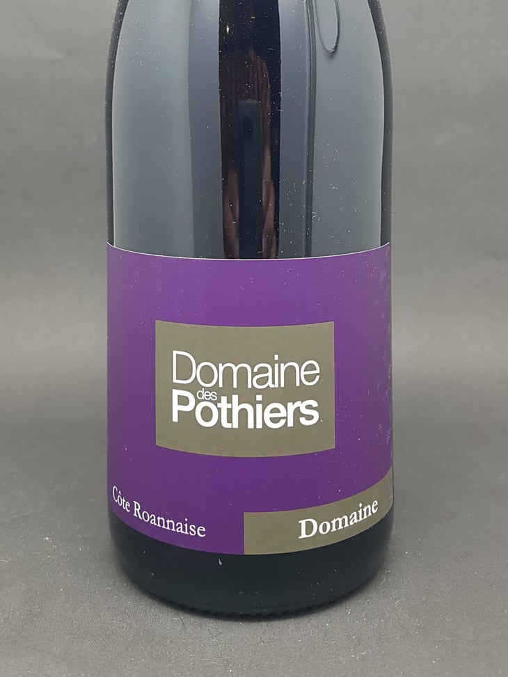 Domaine - Domaine des Pothiers - Denise, Georges & Romain Paire 