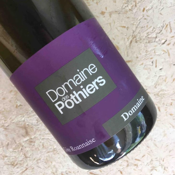 Domaine - Domaine des Pothiers - Denise, Georges & Romain Paire 