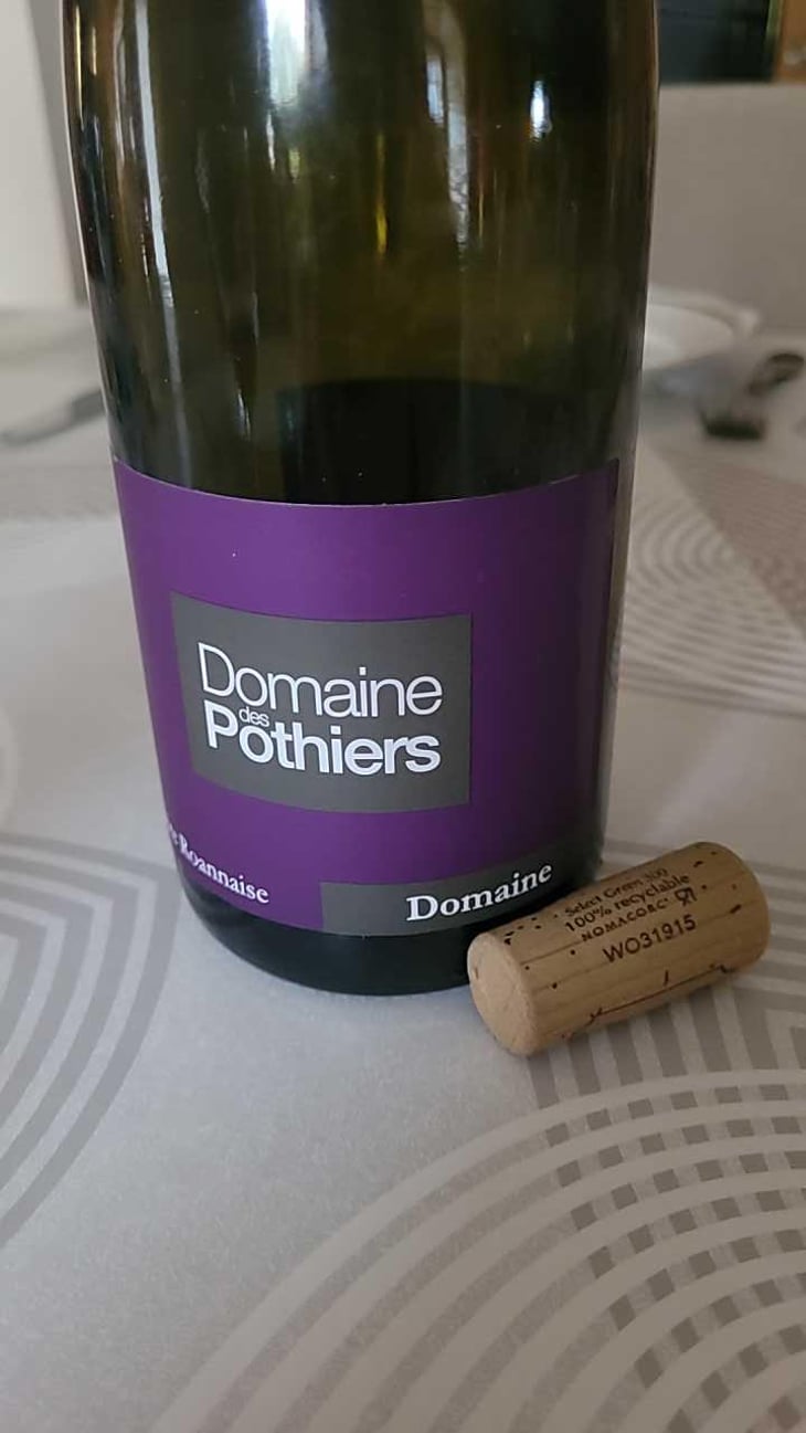 Domaine - Domaine des Pothiers - Denise, Georges & Romain Paire 