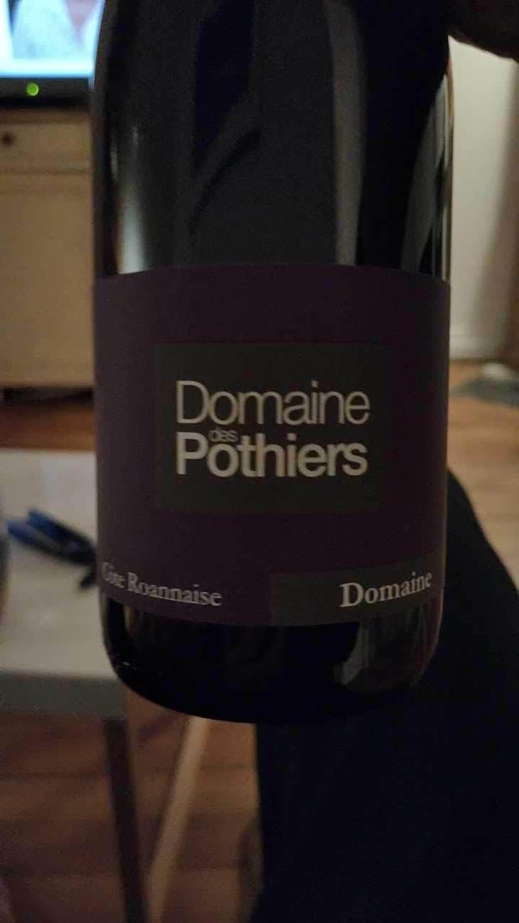 Domaine - Domaine des Pothiers - Denise, Georges & Romain Paire 