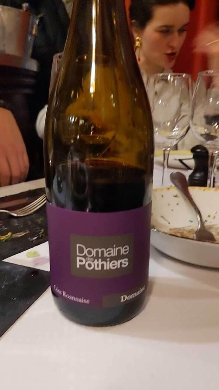 Domaine - Domaine des Pothiers - Denise, Georges & Romain Paire 