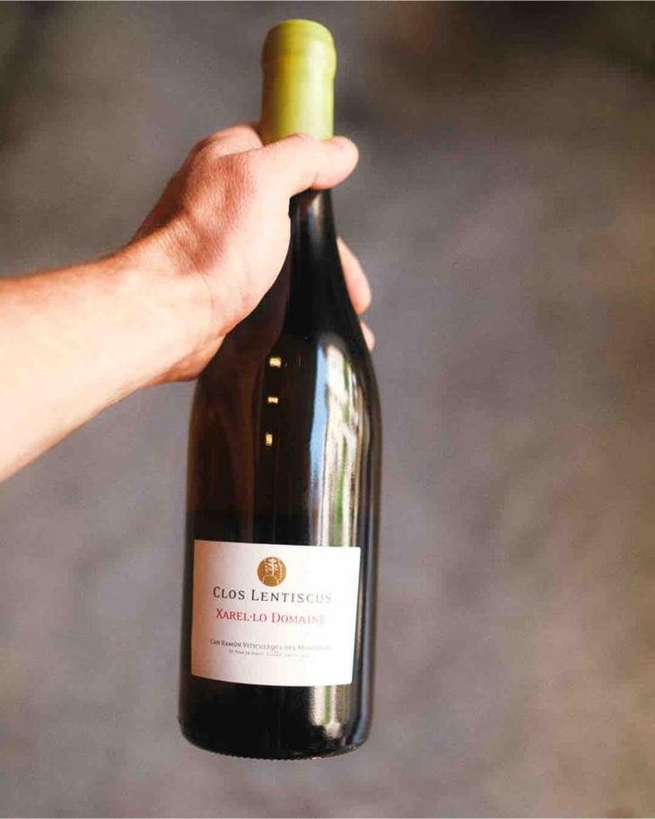 Xarel·lo Domaine - Clos Lentiscus - Manel Aviñó 