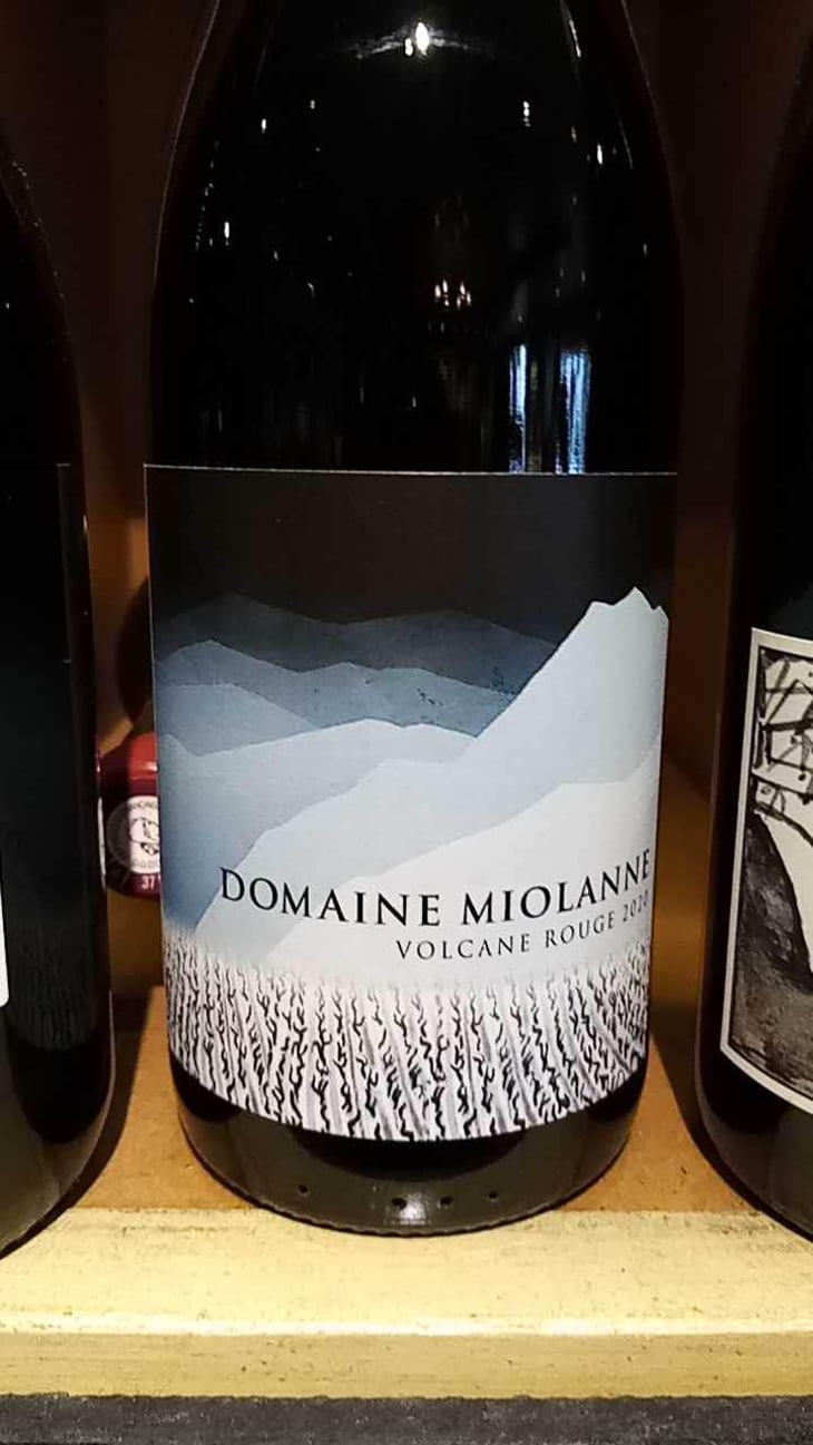 Domaine Miolanne - Domaine Miolanne - Jean-Baptiste Deroche & Laure Cartier 