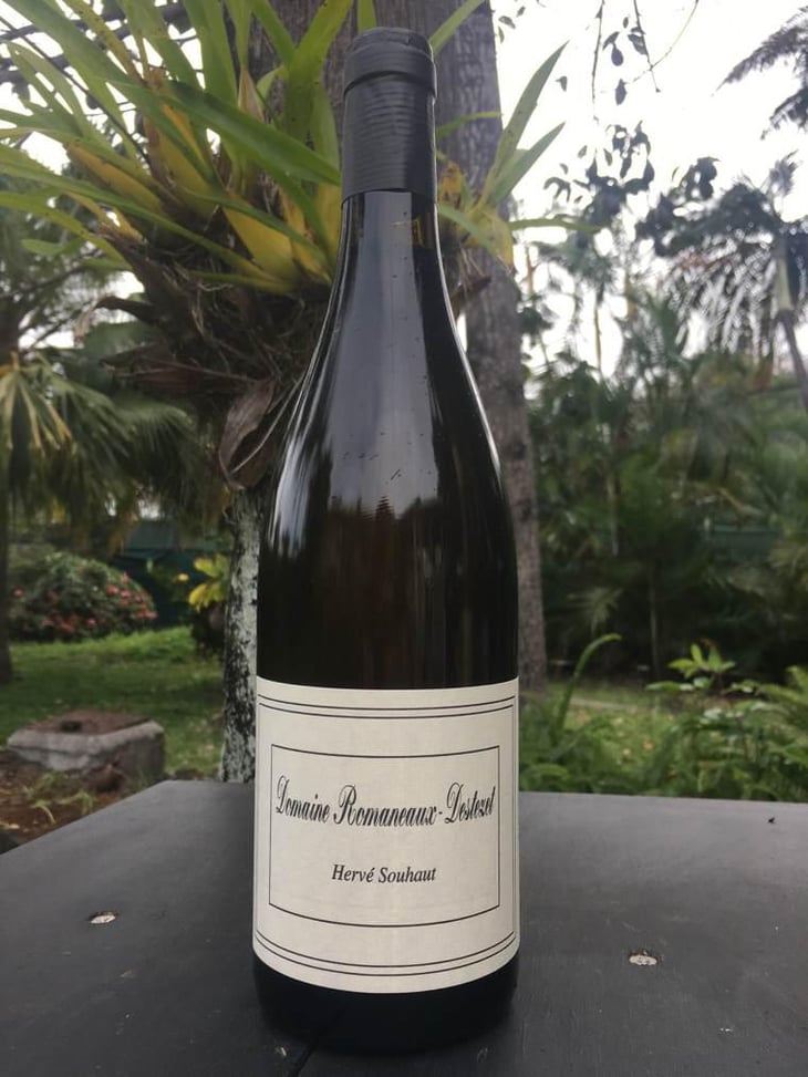 Domaine Romaneaux Destezet - Romaneaux-Destezet - Hervé Souhaut 