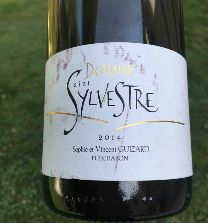 Domaine Saint Sylvestre - Domaine Saint Sylvestre - Sylvie Et Eric Guizard 