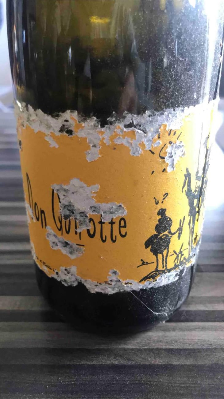 Don Quirotte - La Sorga - Antony Tortul 