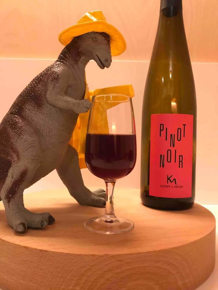 "Dr Meyer" Pinot Noir - Mayer - Timo Mayer 